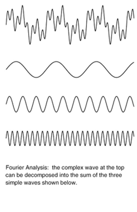 Analog Signal